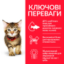 Кипити SP Kitten Chicken Сухий корм з куркою для кошенят і кішок у період вагітності та лактації