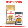 Купить Bengal Adult - сухой корм для котов породы бенгальская (от 12 месяцев)