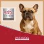 Кипити Migliorcane UNICO Сухий корм для собак середніх та великих порід з свининою