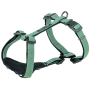 Купить CityStyle H-harness Шлея для собак, хлопок, светло-зеленая