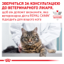 Купить Diabetic - диетический сухой корм для кошек при сахарном диабете