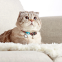 Купить Smart ID Collar Comic Ошейник для кошек