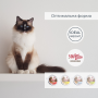 Купить Migliorgatto Sterilized Беззерновые консервы для стерилизованных кошек мусс с говядиной
