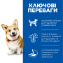 Купить SP Canine Adult Small & Mini Lamb & Rice ActivBiome+ Сухой корм с ягненком и рисом для взрослых собак малых и миниатюрных пород
