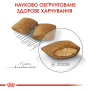 Купить Exigent Mini - сухой для взрослых собак малых пород привередливых к питанию
