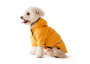 Кипити Moss Long Yellow - дощовик для такс та коргі
