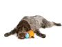 Купить Toppl Dog Toy Игрушка для собак, для лакомства, зеленый