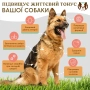 Кипити Wild Alaskan Salmon Oil Лососева олія