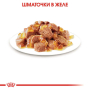 Купить Sterilised wet in jelly Влажный корм (кусочки в желе) для стерилизованных кошек