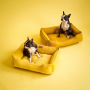 Купить Dreamer Yellow Velvet Лежак для собак и кошек