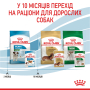 Кипити Mini Puppy - вологий корм у соусі для цуценят малих порід (від 2 до 10 місяців)