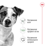 Кипити Mini Adult - сухий корм для дорослих собак дрібних розмірів (від 10 місяців)