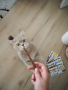 Купить Sticks Poultry Лакомство для кошек, с домашней птицей