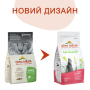 Купить With Fresh Salmon Meat Cat Hairball Сухой корм для выведения шерсти у взрослых кошек со свежим лососем