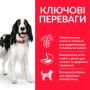 Кипити SP Canine Adult Medium Breed Lamb & Rice Сухий корм з ягням та рисом для доросих собак середніх порід