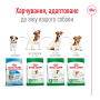 Кипити Mini Adult 8+ - сухий корм для зрілих собак малих порід (від 8 років)