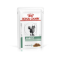 Купить Diabetic Feline Pouches Диетический влажный корм для кошек при сахарном диабете