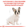 Купить French Bulldog Adult - сухой корм для взрослых собак породы Французский бульдог (от 12 месяцев)