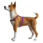 Купить WAUDOG Magnet Шлея для собак водостойкая анатомическая Н-образная с QR-паспортом, фиолетовая