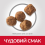 Купить SP Canine Mature Adult 7+ Medium Breed Lamb & Rice Сухой корм с ягненком и рисом для пожилых собак средних пород от 7 лет