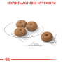 Купить Mini Sterilised - сухой корм для стерилизованных взрослых и зрелых собак малых размером от 10 месяцев