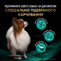 Купить Veterinary Diets EN Gastrointestinal Small&Mini Сухой корм-диета, для лечения кишечных расстройств у щенков и взрослых собак миниатюрных и малых пород
