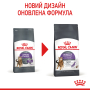 Кипити Appetite Control - сухий корм для котів схильних до випрошування корму (від 12 місяців)