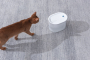 Кипити Pet Glow Wireless Fountain Автономна поїлка - фонтан