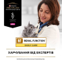 Купить Veterinary Diets NF Renal Function Early Care Диетический влажный корм с курицей для лечении почечной недостаточности на ранних стадиях у взрослых и пожилых кошек