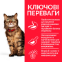 Купить SP Feline Adult Sensitive Stomach & Skin Сухой корм с курицей для взрослых кошек с чувствительным пищеварением и кожей