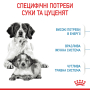 Кипити Medium Starter Mother & Babydog - сухий корм для вагітних собак та цуценят середніх порід (до 2 місяців)