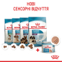 Кипити Starter Mother & Babydog Mousse - вологий корм у вигляді мусу для вагітних собак та цуценят (до 2 місяців)