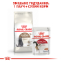 Купить Ageing Sterilised 12+ - сухой корм для зрелых стерилизованных котов (от 12 лет)