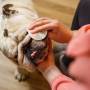 Кипити buldog wipes Серветки для гігієни складочок бульдога