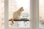 Купить Гамак white+gray на окно для кота