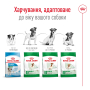 Кипити Mini Adult - сухий корм для дорослих собак дрібних розмірів (від 10 місяців)