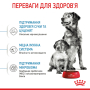 Кипити Medium Starter Mother & Babydog - сухий корм для вагітних собак та цуценят середніх порід (до 2 місяців)