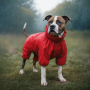 Купить WAUDOG Clothes Дождевик для собак, водонепроницаемый, красный