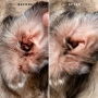 Кипити Fresh Ear Cleaning Wipes Серветки для очищення вух