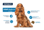 Купить Dog Medium Adult Сухой корм для взрослых собак средних пород с курицей и рисом