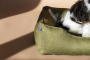 Кипити Dreamer Olive Лежак для собак і котів