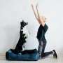 Купить Dreamer Deep Ocean Velvet Лежак для собак и кошек