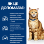 Купить PD Feline C/D Chicken Сухой корм-диета с курицей для кошек