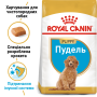 Купить Poodle Puppy – сухой корм для щенков породы Пудель