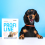 Купить PROFILINE Ошейник для кошек и собак 35 см, коралловый