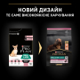 Купить Small&Mini Adult Sensitive Skin Salmon - сухой корм с лососем для взрослых собак малых пород с чувствительной кожей