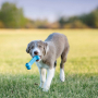 Купить Puppy Goodie Bone Кость-кормушка для щенков малых пород