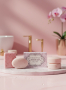 Купить Intimate Soap for Ladies Мыло для интимных зон собак девочек