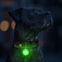 Купить WAUDOG LED Фонарик для собак и кошек в светящемся силиконовом чехле USB