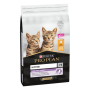 Купить Kitten Healthy Start Chicken Сухой корм с курицей для котят, беременных и кормящих кошек